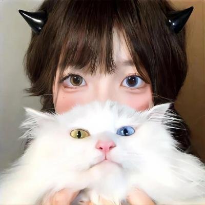 高调人生